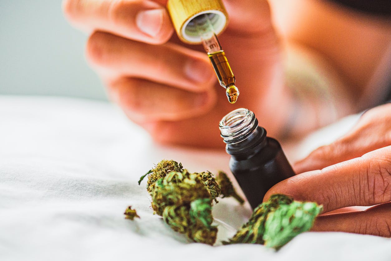 Huile de cannabis (CBD) : quels usages, quels bienfaits ? | Santé Magazine